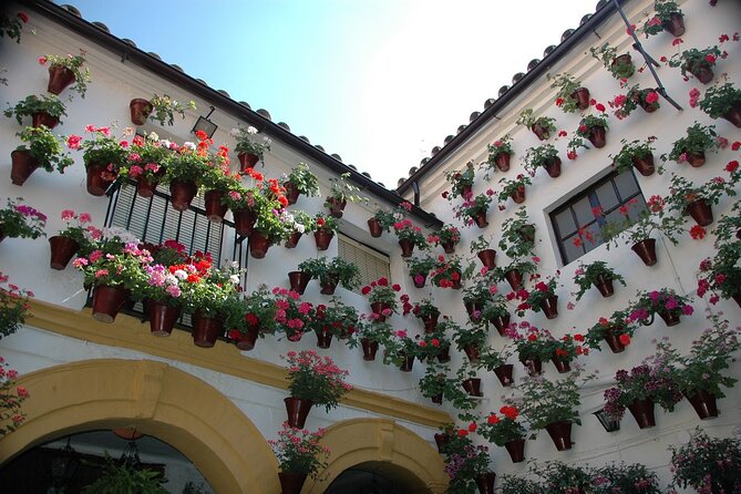 Cordoba Private Walking Tour With a Professional Guide - Customize Your Experience
