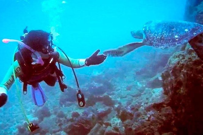 Costa Diving Tour - Machalilla National Park - Important Reminders