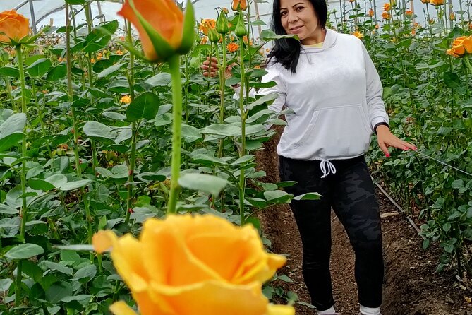 Cotopaxi Volcano & Rose Farm Tour VIP - Availability and Cancellation Policy