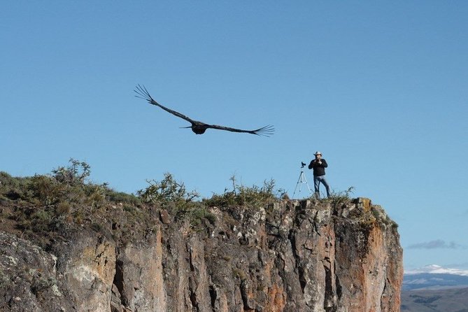 Coyhaique Condor Watching - Accessibility Information
