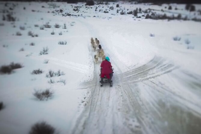 Crab Route in the Snow 4x4 in Tierra Del Fuego - Booking