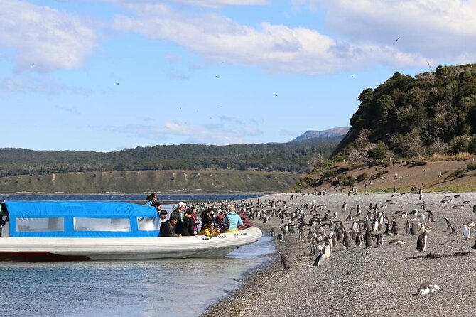 Crab Tour in 4x4 With Penguin Watching - Culinary Delights Included