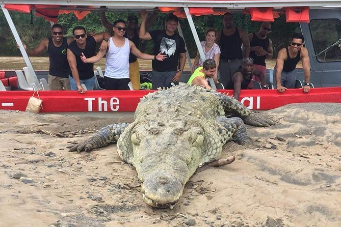 Crocodile Safari Expedition & Carara National Park. Private Tour - Cancellation Policy