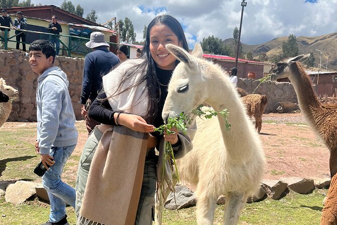 Cusco: Archeological Sites Tour and Forest Photo Experience - Meal Options and Local Cuisine
