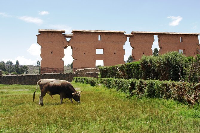 Cusco to Puno Shuttle & Guided Tour With Box Lunch - Important Details