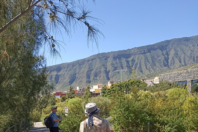Custom Private Tenerife Highlights Car Tour - Pickup Options