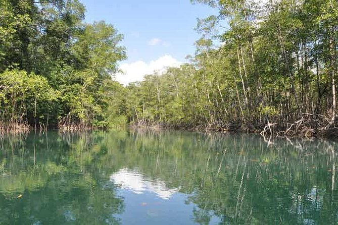 Damas Island Kayaking Tour From Manuel Antonio - Location Details