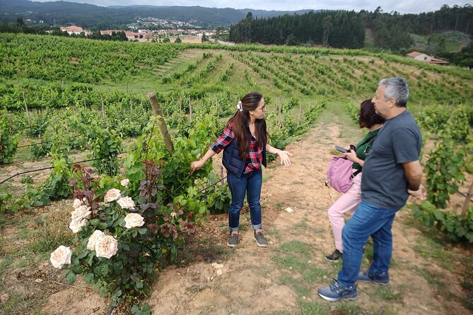 Dao Wine Route Experience, Full-Day From Coimbra - Inclusions and Exclusions