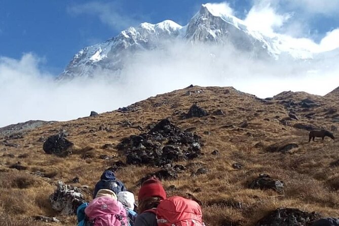 Darjeeling Singhalila Sandakphu Trek - The Sum Up
