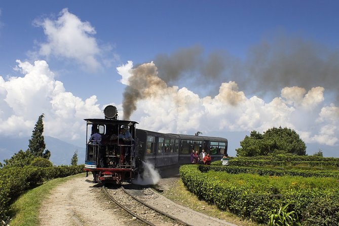 Darjeeling Tea Estate Tour - Meeting and Pickup Details