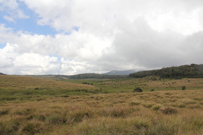 Day Excursion to Horton Plains With Scenic Train Ride From Nuwara Eliya - Frequently Asked Questions