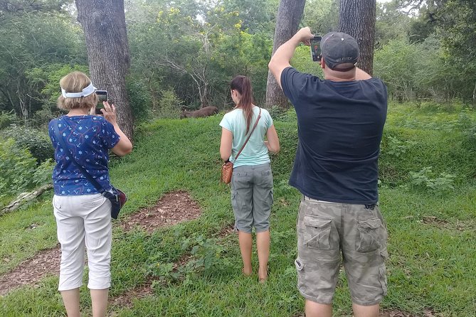 Day Execution Trincomalee to Wild Safari Willpattu National Park - End Point and Logistics