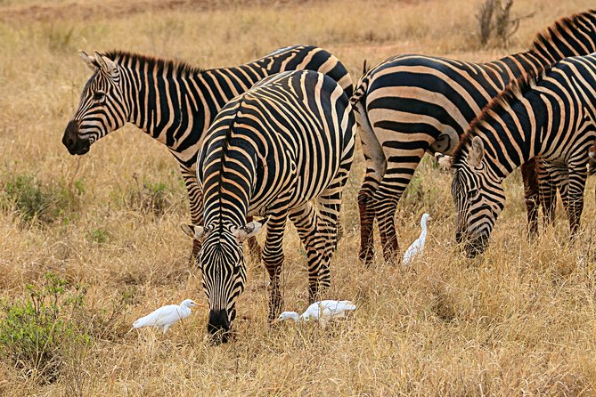 Day Safari To Nakuru National Park From Nairobi - Pickup and Meeting Points