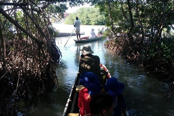 Day Tour as a Fisherman in the Mangroves and Mud Bath - Ticket Redemption and Price