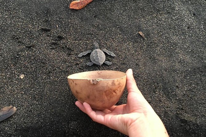 Day Tour Between Mangroves, Fishing & Black Sand Beach Activities + Lunch - Tour Location and Duration