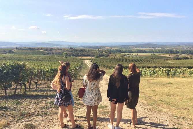 Day Tour : Cité De Carcassonne and Wine Tasting. Private Tour From Carcassonne. - Private Tour Benefits