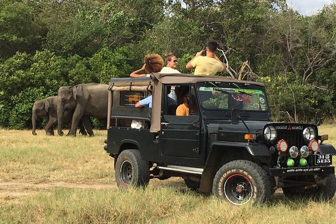 Day Tour From Colombo to Udawalawe National Park Jeep Safari - Tour Location