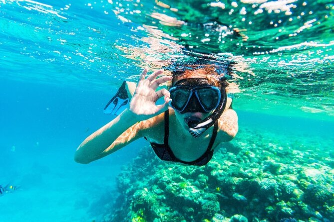 Day Tour On Yacht Included 2 Dive With Lunch At Hurghada - Booking and Cancellation Policy