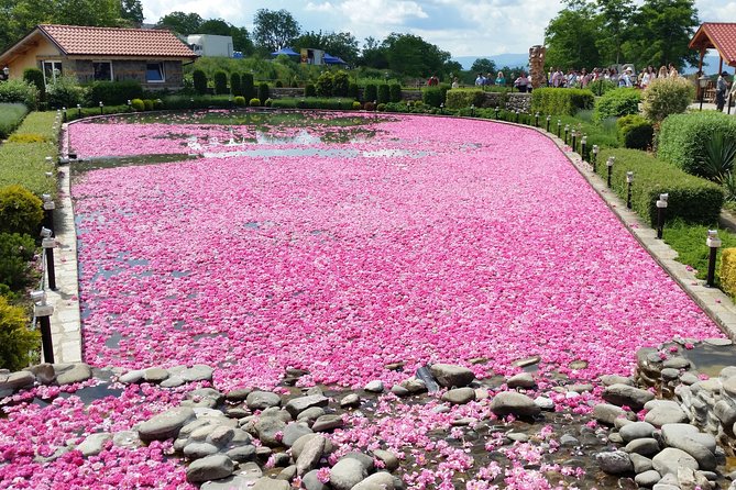 Day Tour Rose Valley From Plovdiv - in the Footsteps of Rosa Damascena - The Sum Up