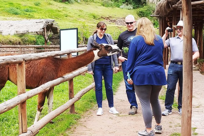 Day Tour Sacred Valley From Cusco - Meal and Refreshment Options