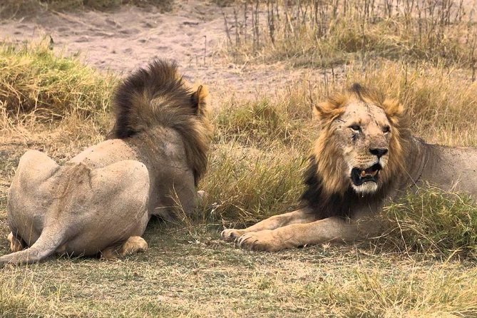 Day Tour to Amboseli National Park From Nairobi - Booking and Cancellation Policy