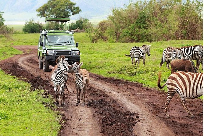 Day Tour To Amboseli National Park From Nairobi - Daily Schedule