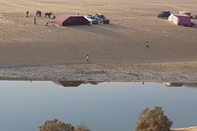 Day Tour to El Fayoum From Cairo - What to Bring