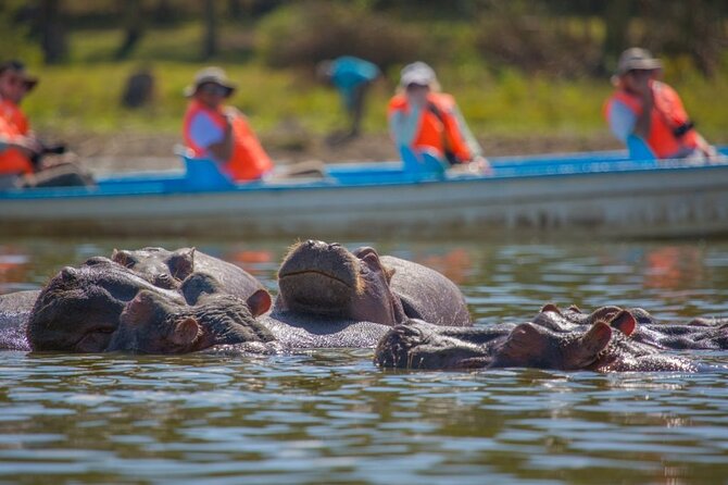 Day Tour to Hells Gate, Lake Naivasha and Crescent Island Walk - Additional Information