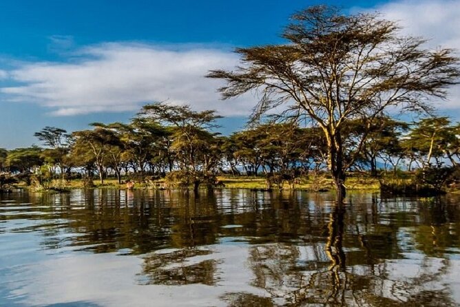 Day Tour to Lake Nakuru With Optional Boat Ride in Lake Naivasha - What to Expect