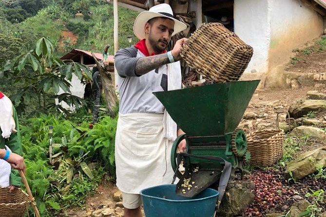 Day Tour to Medellin, Country Side and Coffee Region - Safety and Accessibility