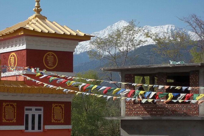 Day Trip From Dharamshala to Namgyal Monastery - Pickup Information