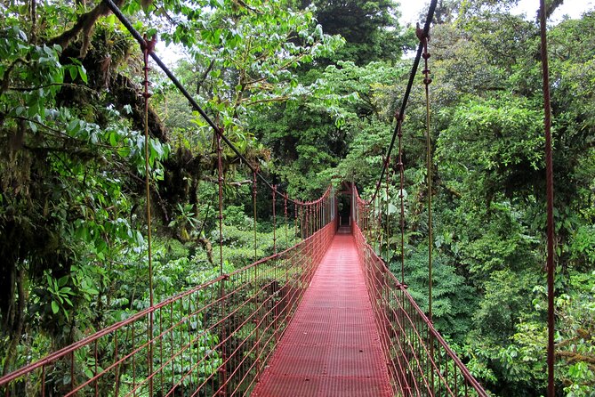 Day Trip From San Jose to Monteverde Cloud Forest & Sky Adventure Park - Pickup and Departure