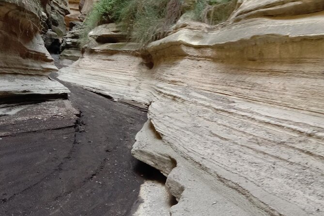 Day Trip Nairobi to Hells Gate National Park and Lake Naivasha - Park Activities