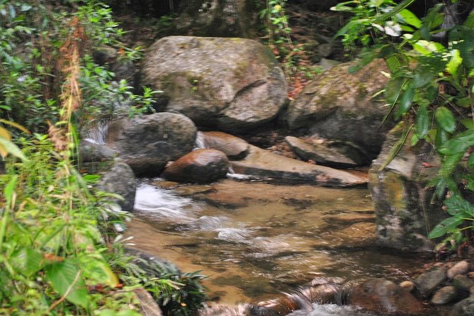 Day-Trip to Gunung Gading Rafflesia Centre From Kuching City - Additional Information