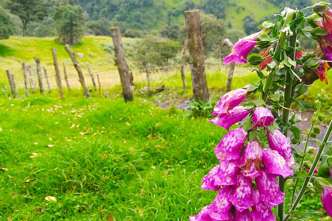 Day Trip to La Chorrera Park—Hiking Experience to Highest Waterfall in Colombia - Exclusions