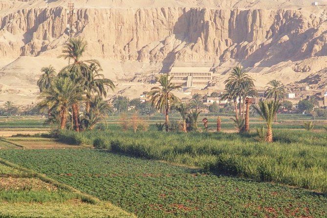 Day Trip to Luxor From Marsa Alam - Transportation Details