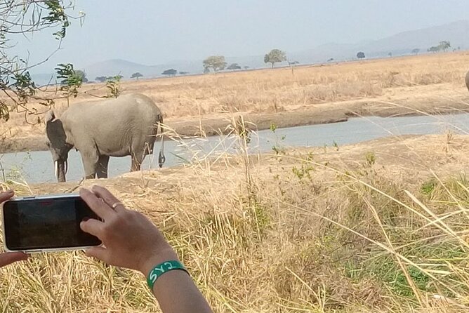 Day Trip to Mikumi National Park From Zanzibar - Itinerary Overview