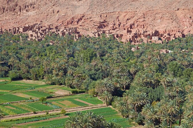 Day Trip to Sidi Fares, From Marrakech Including( Lunch,Breakfast ,Mule Trek,,) - Pickup and Mule Trek Tour