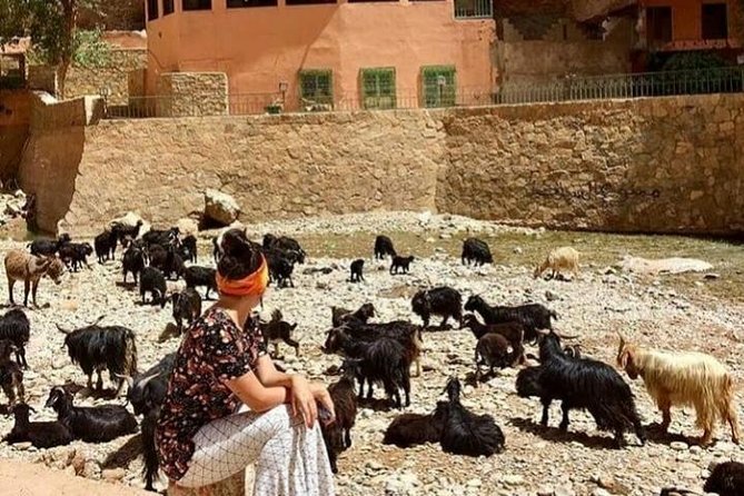 Day Trip With a Group to Ouarzazate and Ait Ben Haddou - Inclusions and Exclusions