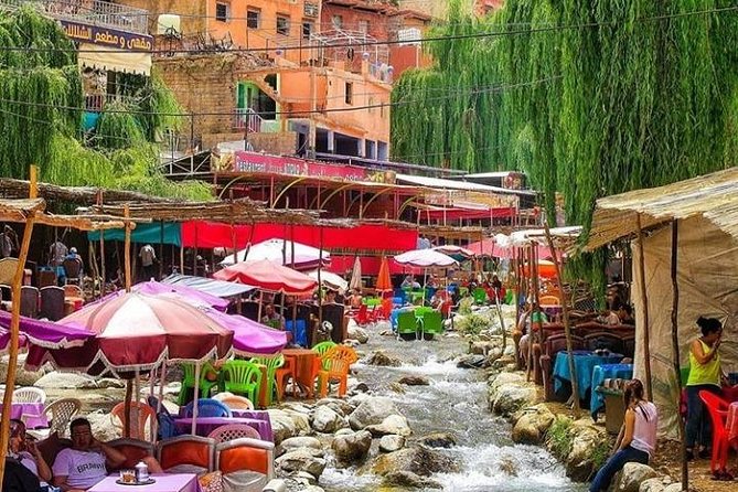 Day Trip With a Group to Ourika Valley and Atlas Mountain - Transportation Details