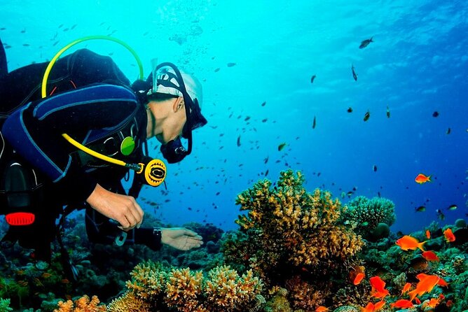 Deep Dive Discovery Scuba Diving in Paracas - Important Additional Information