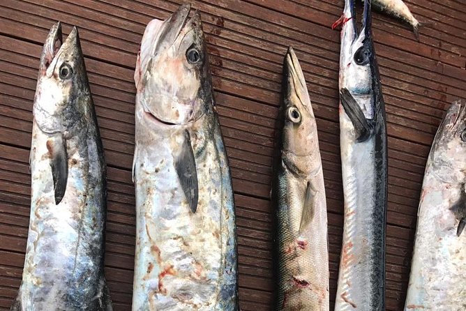 Deep Sea Big Game Fishing Voyage – Hikkaduwa - Inclusions and Pickup Options