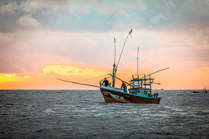 Deep Sea Fishing Boat Tour in Bentota - Options for Tour