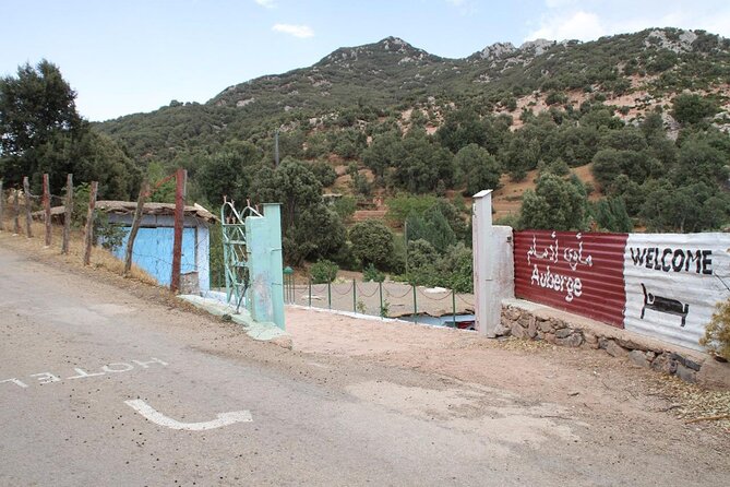 Deer of the Atlas : Tazekka Natural Park & Ifrane Eco Tour | Private & Luxury - Local Village Experiences