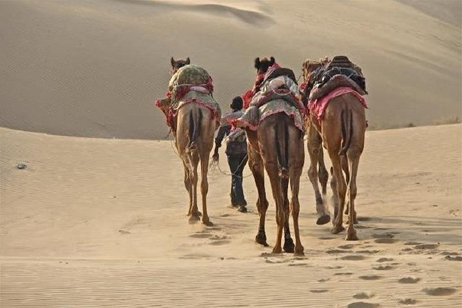 Delhi Ajmer Pushkar Hindu & Muslim Pilgrimage India Tours - The Sum Up