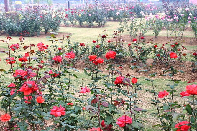 Delhi's Historical Saga: A Walk Through Time - Discover Alai Darwaza Gate