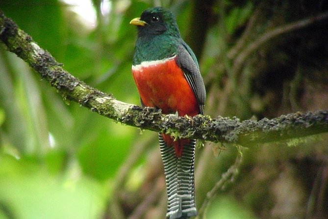 Deluxe Nature Expedition 8 Days - Exclusions