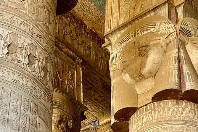 Dendara Half Day Trip - Accessibility
