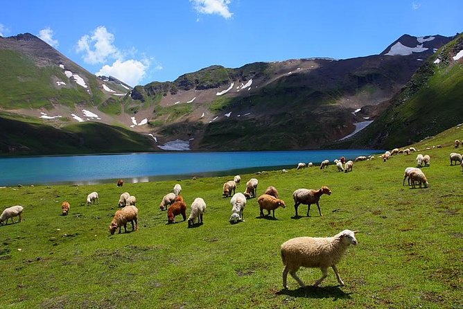 Deosai National Park Skardu Valley Pakistan Tour - What To Expect