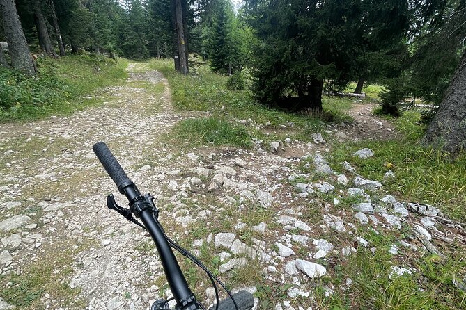 Descent of the Semnoz by Enduro Mountain Bike - Price and Cancellation Policy